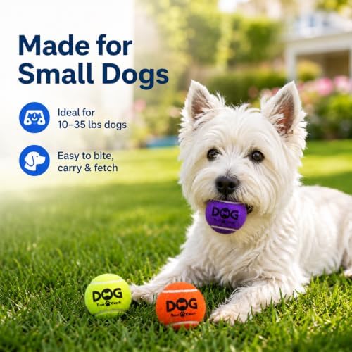 INSUM Tennis Balls for Dogs, 12 Pack Small Medium Dog Toys Balls