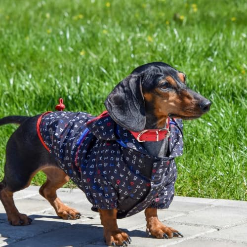 FOMIYES 4pcs Adjustable Puppy Collar for Small Dogs and Cats, Pu Leather Material with Metal Buckle, Breathable Design for Walking and Training Sessions, Enhanced Safety and Comfortable