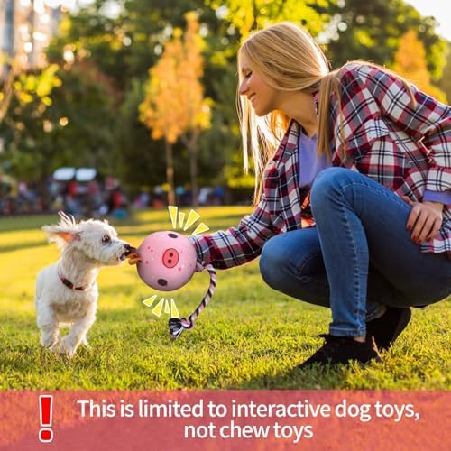 QDAN Dog Rope Dogs Toy: Dog Soccer Ball with Strap, Balls on Rope Plush Outdoor Birthday Toys for Small to Medium(for Medium Dogs, Pig)