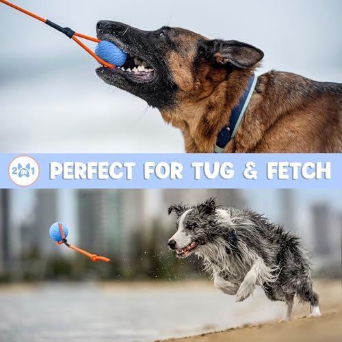 Dog Ball Toy with Rope, Durable EVA Foam Floating Dog Toy, Interactive Fetch & Toss n’ Train Tug Ball for Dogs, Bouncy Pet Ball for Outdoor Indoor Play - Blue, Medium