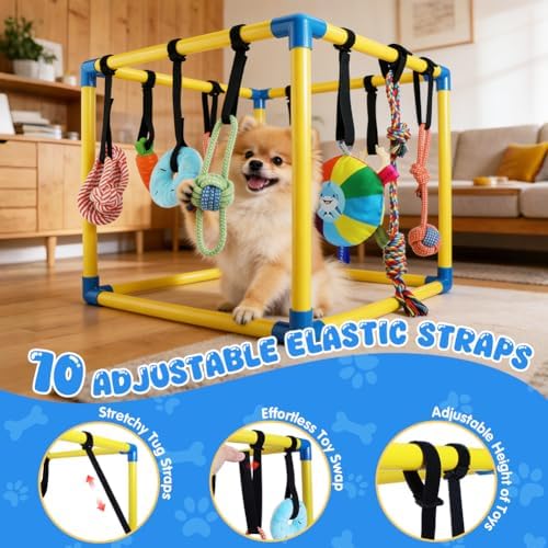 Puppy-Play-Gym for Small Dogs with 10 Dog Toys,19.5" Indoor-Jungle-Play-Gym