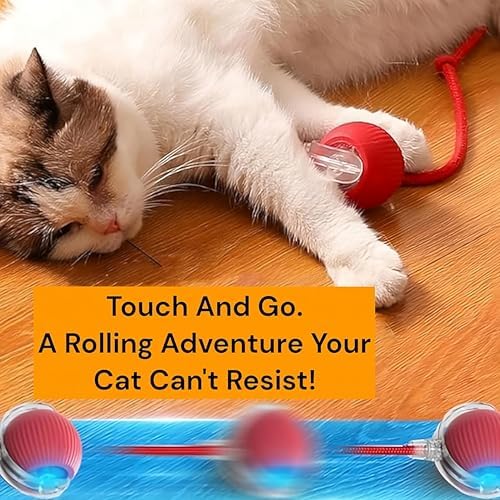 Interactive Electric Automatic Rolling Moving Rechargeable Self Play Stimulation Toy,Smart Pet Chase with Speedy Tail Rope for Bored Indoor Cats (Grey)