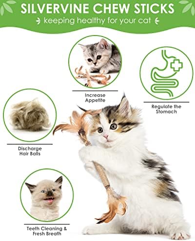 TINDTOP Silvervine Sticks for Cats with Natural Feather, Catnip Chew Toys