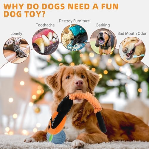 KOOLTAIL Halloween Dog Toys, Tough Plush Dog Chew & Squeaky Toys with Crinkle Paper, Interactive Training & Tug of War Puppy Teething Toy for Indoor Outdoor Play for Small Medium Large Dogs, Pumpkin