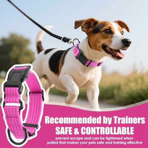 Martingale Dog Collar, Reflective No Pull with Buckle, Pink, L