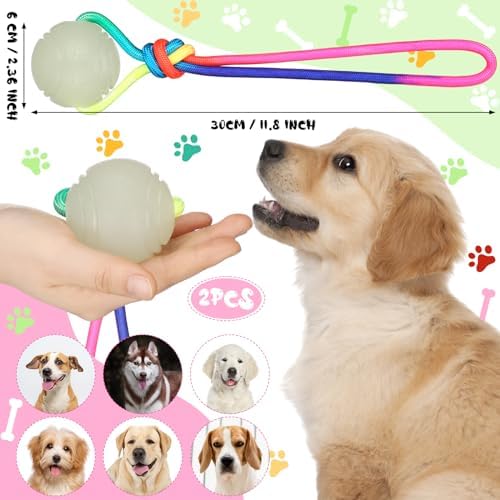 Hollowfly 2 Pcs Christmas Glow in Dark Dog Ball on Rope 2.36" Toy