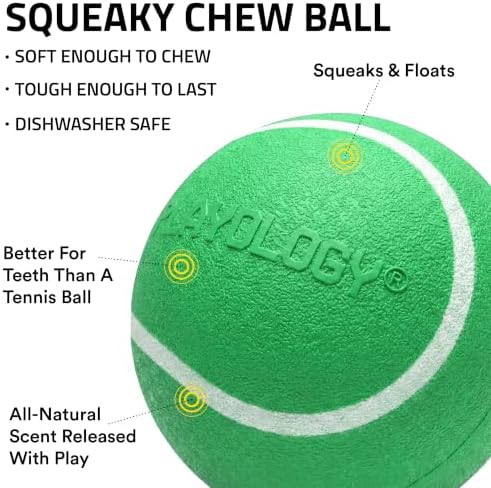 Playology Squeaky Chew Ball Dog Toy - Jumbo, Watermelon Scent