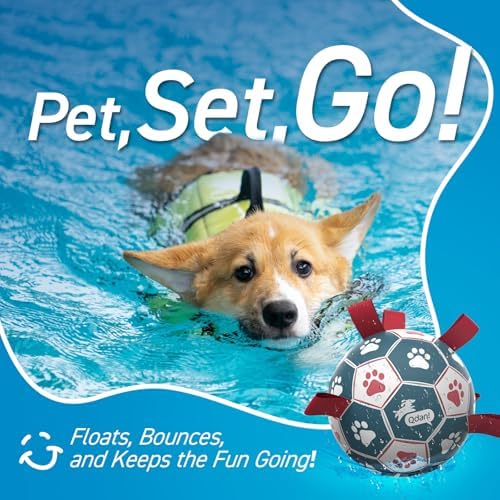 QDAN Dog Balls, 6 Inch Dog Soccer Ball with Straps, Herding Balls for Dogs