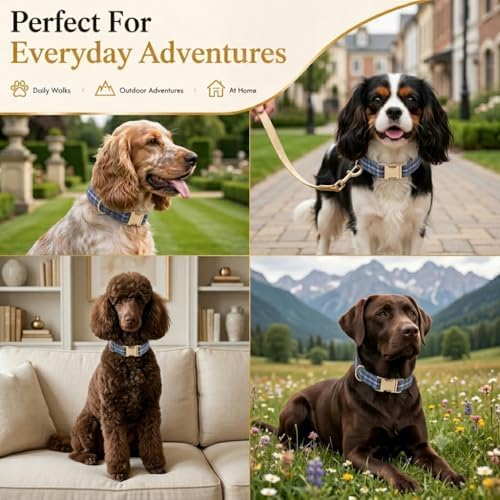 Soft Cotton Dog Collar Classic Plaid Pet Collars with Metal Clasp for Small Dogs with Sensitive Skin, Highland Blue Tartan