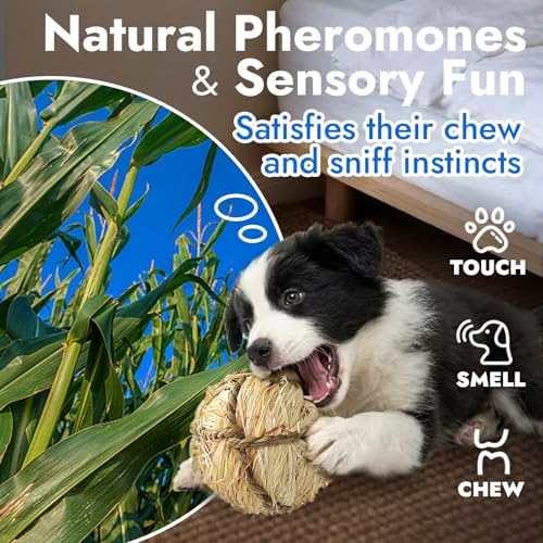 Natural Dog Chew Toy, 1pcs Woven Grass Chew Ball for Dogs, Dental Teething Toy & Interactive Fetch Toys, Outdoor Rattan Digestible Chew Ball for Boredom Relief - Seaweed & Corn Silk
