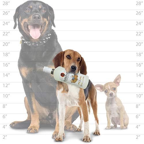 SILLY SQUEAKERS Tuffy® Can Liquor Bottle Dog Toys: Ultra Durable Plush Toy with Multiple Layers & Reinforced Seams, Washable and Floats, Original Construction