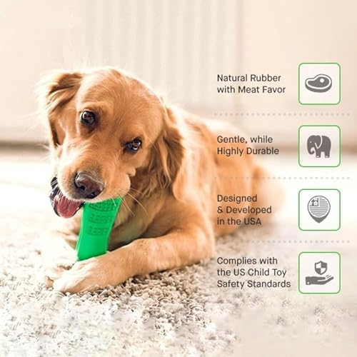 PUPIX Dog Toothbrush Chew Toy with Treat Dispenser, Interactive Dog Toy for Small Medium Dogs, Puppy Teething Toy, Rubber Dog Chew Toy for Dental Cleaning, Dog Teeth Cleaning Toy & Oral Care, Green, L