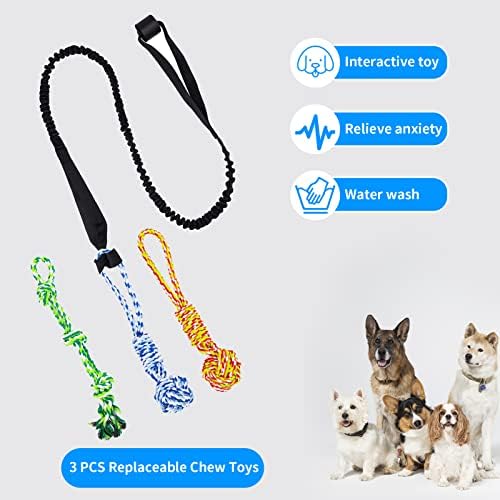 Spring Pole Dog Rope Toys, Tree Bungee Hanging Dogs Toy Interactive Tether Tug Indoor Outdoor Exercise Chewer Ropes Dog Toys, Pull Tug Solo Play Rope for Medium Large Dog