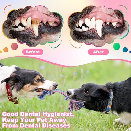 Dimeho 48 PCS Puppy Chew Toy Dog Rope Toys Teething Toy, Multi Color