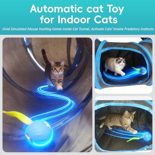 Interactive Cat Toy, Motion-Activated Ball in Round Cat Tunnel