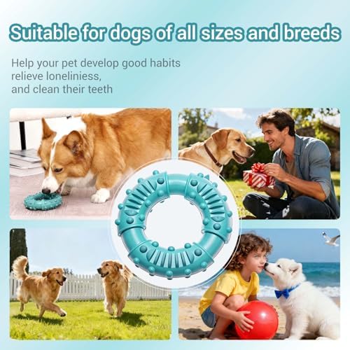 Natural Rubber Indestructible Dog Chew Ring Toys, Interactive Dog Toys for Aggressive Chewers,Dental Teething Training Toys with Textured Nodules, Durable Pet Dog Toy for Boredom (Blue)