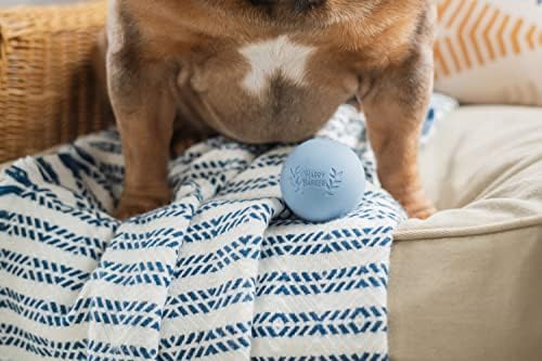 Harry Barker Natural Rubber Dog Fetch Balls, Durable High-Bounce Interactive Toy with Safety Air Vent, Treat-Stuffable Rubber Balls for Dogs, 2.5 Inch, 6-Pack