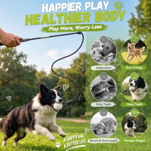 FOXMM Flirt Pole for Dogs, Interactive Dog Toys for Large Medium Small Dogs