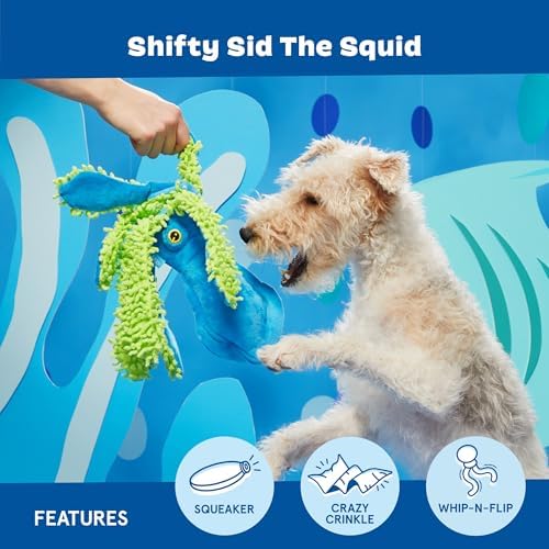 BarkBox Shifty Sid the Squid Dog Toy - for Dogs