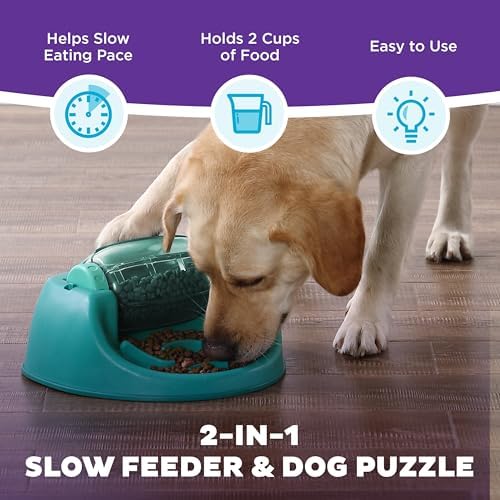 Outward Hound Nina Ottosson Spin N' Eat Dog Puzzle Toy & Slow Feeder, 11.6", (Pack of 6)