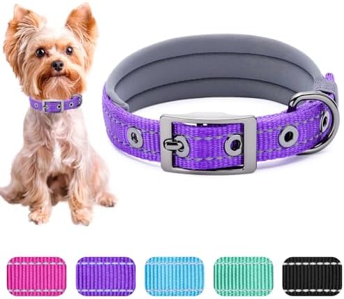 Segarty Reflective Small Dog Collars for Female Dogs neck 10.8-14in, Adjustable Wide Soft Comfortable Breathable Neoprene Padded Nylon Collar Heavy Duty Metal Buckle for Puppy Small Breeds (S, Purple)