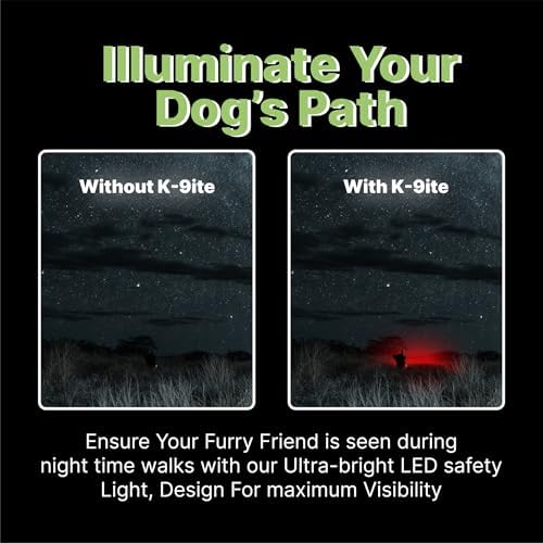 Rechargeable LED Dog Collar, Adjustable Size Light Up Collar with 360° Halo Effect, Ultra-Bright RGB Light, Weather-Resistant Design, Flash Mode, & USB-C Charging for Small, Medium & Large Dogs