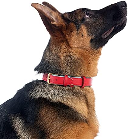 Leather Dog Collar for Small Medium Large Dogs Soft Waterproof Padded Puppy Collars