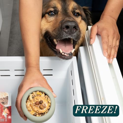 Should We Go? Interactive Dog Enrichment Toy with Freezer Plug, BPA-Free Silicone Puzzle Dog Freeze Bowl & Treat Dispenser for Mental Stimulation, Ideal for Kibble & Frozen Licks, Fits 3 oz, Small