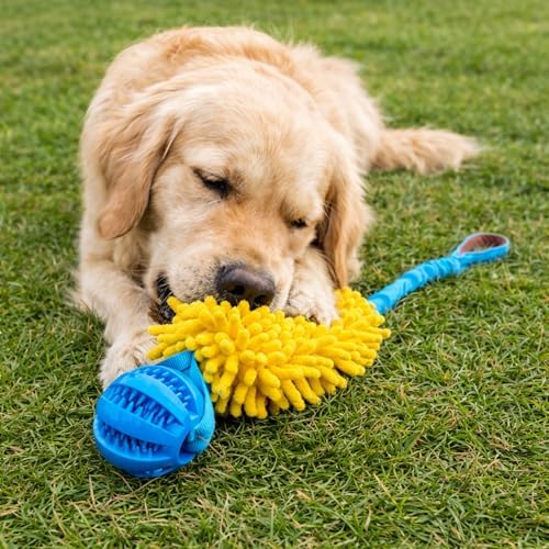 Gus & Goose Dog Tug Toy with Bungee, Comfort Handle, Plush Chew Section, Durable Rubber Ball, for Outdoor and Indoor Play, Blue and Yellow, for Medium and Large Dogs