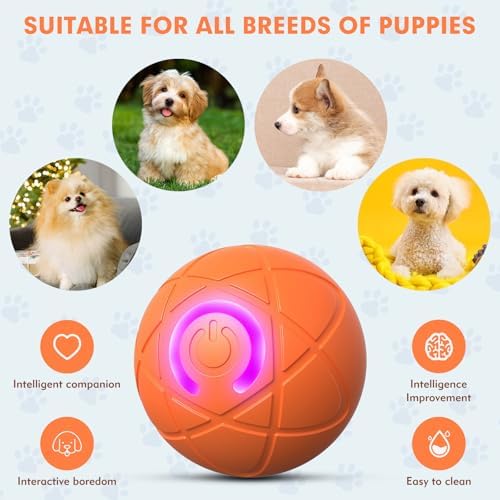 Interactive Dog Toys, Orange, for Small Dogs