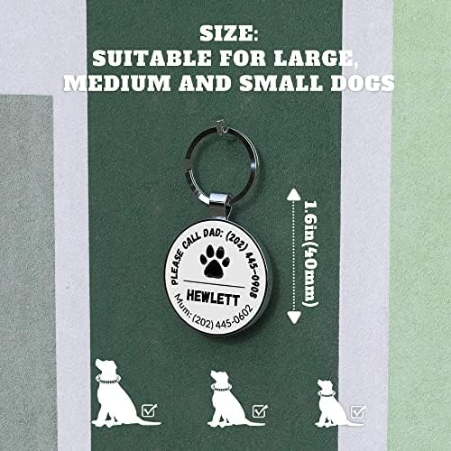 QR Code Dog Tag -On Pet ID Name Tag for Dogs, Cats & Horses – Custom Personalized Noiseless Tag with Jingle-Free Fit & Online Profile Display