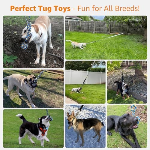 LOOBANI Outdoor Bungee Tug Toy, Interactive Dog Tree Hanging Toys, Green