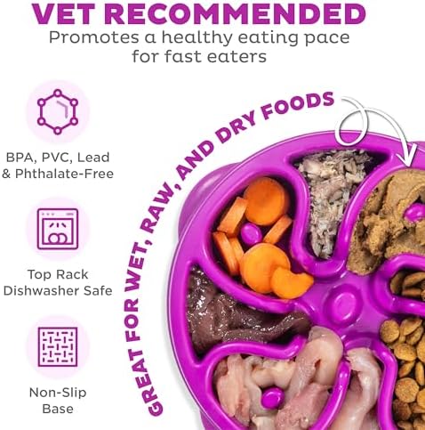 Outward Hound Fun Feeder Slo Bowl – Medium 2‑Cup Capacity, Slow Feeding, Small to Medium Dogs & Cats, Non-Slip, Purple, Flower Pattern