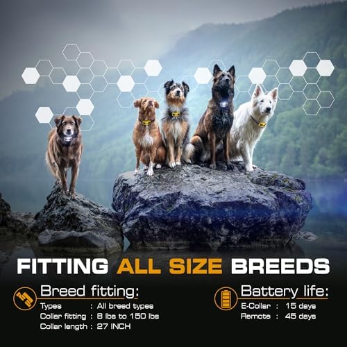 INVIROX Ultra K9 Dog Shock Collar, 124 Levels, Night Light, IP67 Waterproof (Yellow, 1 Dog)