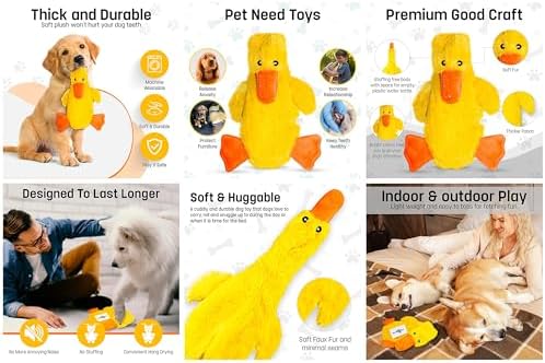 FGA MARKETPLACE Racoon-Duck Flat NO Stuffing NO Squeak Plush Dog Toy, Funny Style Will Entertain Your Pet for Hours, Recommended for Small and Medium Dog 21 INCH Long