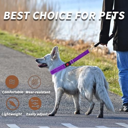 No Pull Martingale Dog Collar for Large Medium Small Dogs, Heavy Duty Nylon Reflective Adjustable Anti Pull Slip Collar with Buckle for Training Walking S Purple