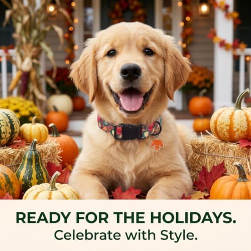 Fall Dog Collar, Dog Collar for Large Dogs, L