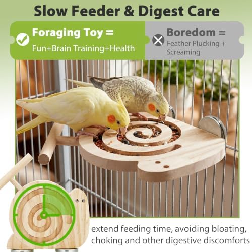 2pcs Bird Foraging Toy with Perch for Novice/Older/Slow-Learning Bird