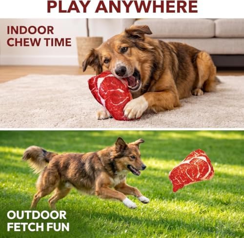 Realistic Food Steak Plush Dog Squeaky Toy, Soft Food Shape Pet Chew Toy for Small Medium Dogs and Non-Aggressive Chewers, Puppy Teeth Clean Chew Toys
