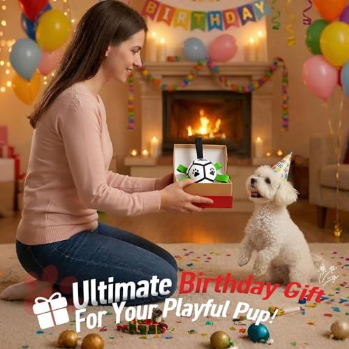 QDAN Small Dog Toys, Outdoor Soccer Ball with Straps, Puppy Birthday Gifts | Interactive Training Soccer Toys for Tug, Dog Water Toy, Durable Puppy Balls for 5-20 lbs Small Dogs, Puppy Birthday Gifts