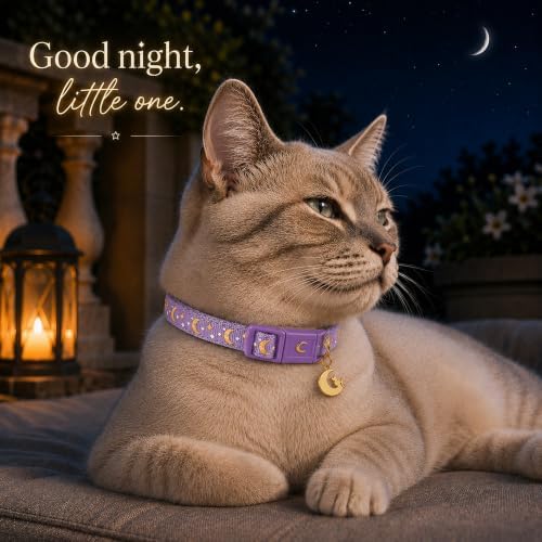 Breakaway Cat Collar with Bell for Kittens & Cats