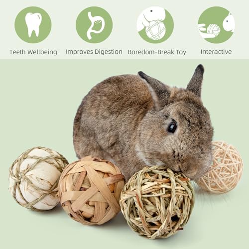 andwe Small Animals Play Balls Rolling Chew Toys (Pack of 9)