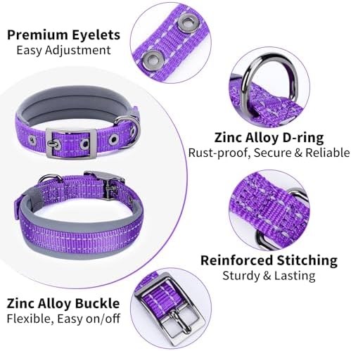 Segarty Reflective Small Dog Collars for Female Dogs neck 10.8-14in, Adjustable Wide Soft Comfortable Breathable Neoprene Padded Nylon Collar Heavy Duty Metal Buckle for Puppy Small Breeds (S, Purple)