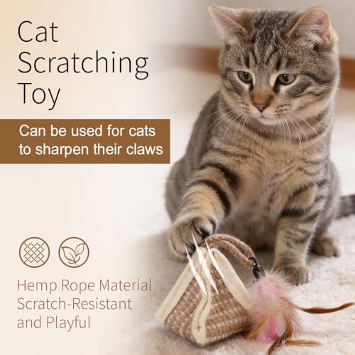 PAZ'S GIFT Cat Toy with Organic Catnip,Feathered Soft Sisal Material, Interactive Scratching and Kicking Chew Toy for Indoor Kittens