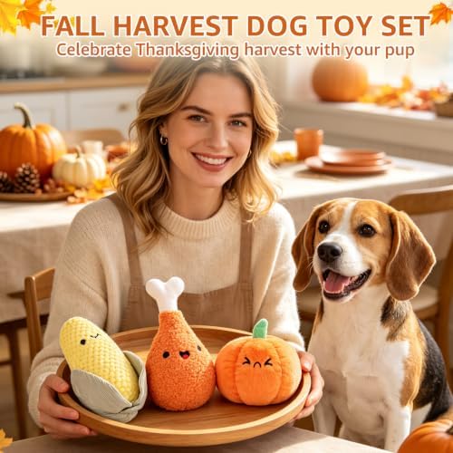 SCENEREAL Christmas Dog Rope Toys (Corn &Pumpkin & Chicken)