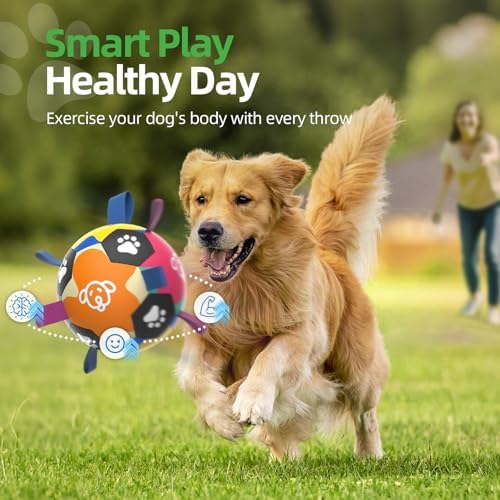 QDAN Dog Toy, Dog Soccer Ball with Straps, Dog Balls for Aggressive Chewers