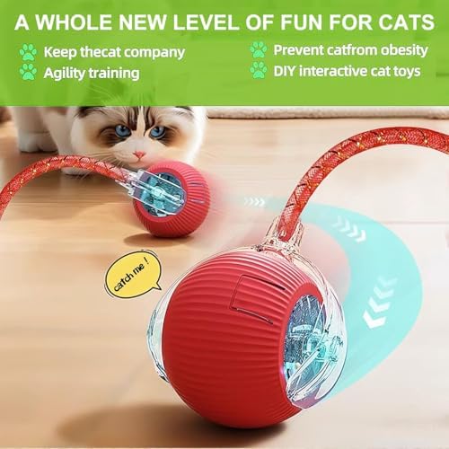2 Pack Interactive Cat Toy Balls for Indoor with Elastic Mesh Tail