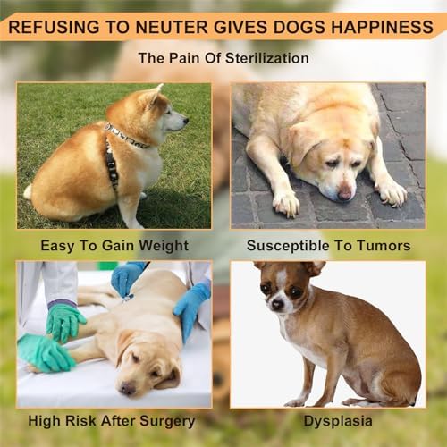 Male Dog Silicone Mating Toy, Dogs Interactive Sleeping Toys, Pet Dog Partner Toy for Male Estrus Dog,13cm