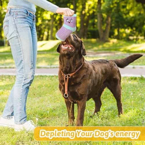 3 Pcs Dog Toy Funny Dog Chew Toys Plush Sock Interactive Toy Good for Dental Health Stuffed Socks Dogs Chewing Toys for Puppy Small Medium Dogs Chew Molar