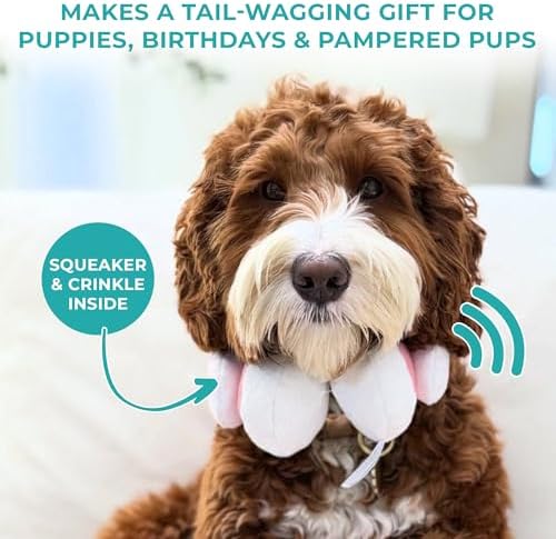 Haute Diggity Dog Barks Headphones Plush Dog Toy, Funny Parody Chew Toys